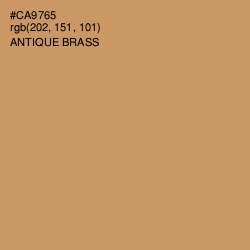 #CA9765 - Antique Brass Color Image